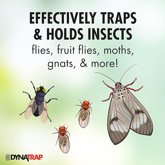 DynaTrap DT152 Indoor Insect Trap and Killer – Catches and Kills Fruit Flies, Gnats, Moths & 230093 Replacement StickyTech Glue Cards for Flylight Indoor Plug-in Fly and Flying Insects