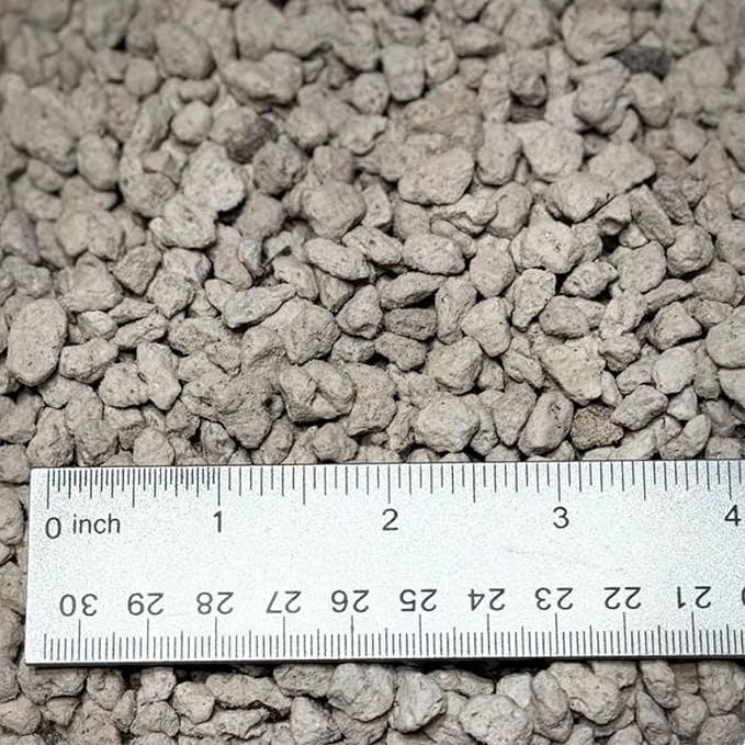 GARDENWISE Horticultural Pumice for Plants, Natural Pumice Stone Soil Amendment, 3/8-1/4 inch, Made in USA (1 Quart - 0.9 lb)