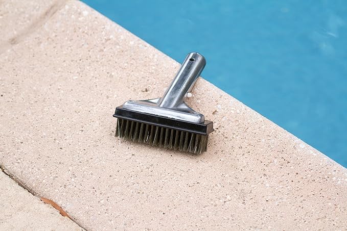 Poolmaster 20178 5-Inch Aluminum-Back Swimming Pool Algae Brush with Stainless Steel Bristles,Classic Collection,(Pack of 12)