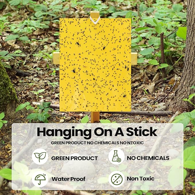 Qualirey 250 Pcs Yellow 6 x 8 Inch Sticky Traps for Gnats Dual Sided Fruit Fly Sticky Traps for Indoor and Outdoor Plant with Twist Ties and Plastic Holders for Fungus Gnats, Bug, Flying Insect