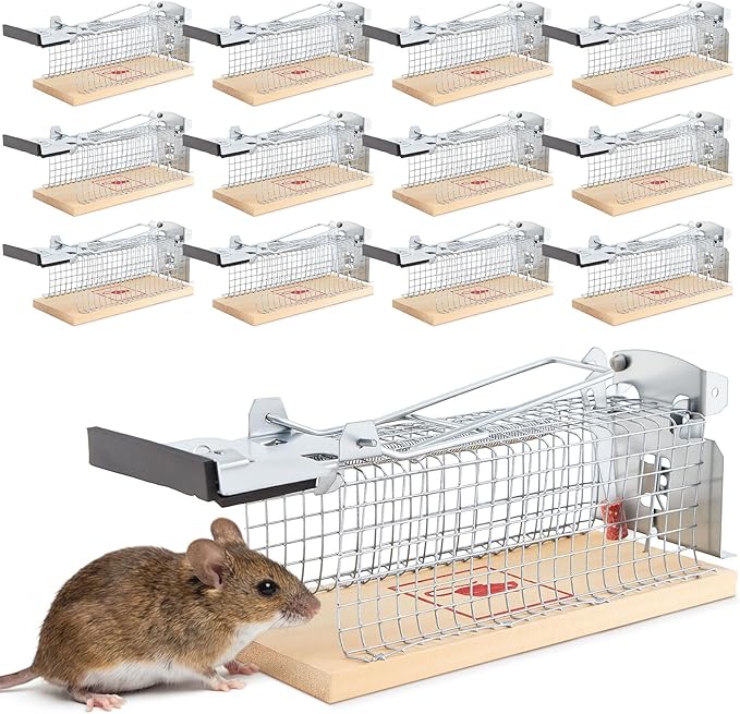 12 Pack Small Humane Mouse Trap, 6 x 2.4 x 2.8 Inch, No Kill, Catch and Release, Reusable Live Mouse Trap, Indoor Outdoor Rat Cage for Small Live Rodent Chipmunk Squirrel Mole Safe Control