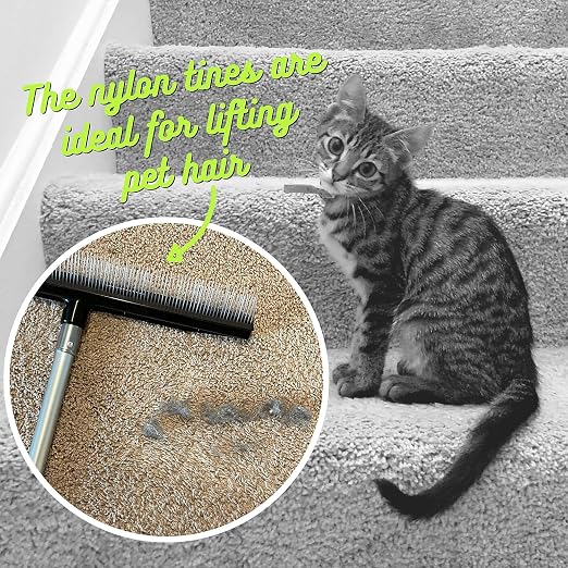 Room Groom Carpet Rake and Groomer with Telescoping 54" Adjustable Handle, Portable Design, Carpet Brush Ideal for Pet Hair, Refreshing High Pile Carpets and Artificial Turf, (Pack of 2)