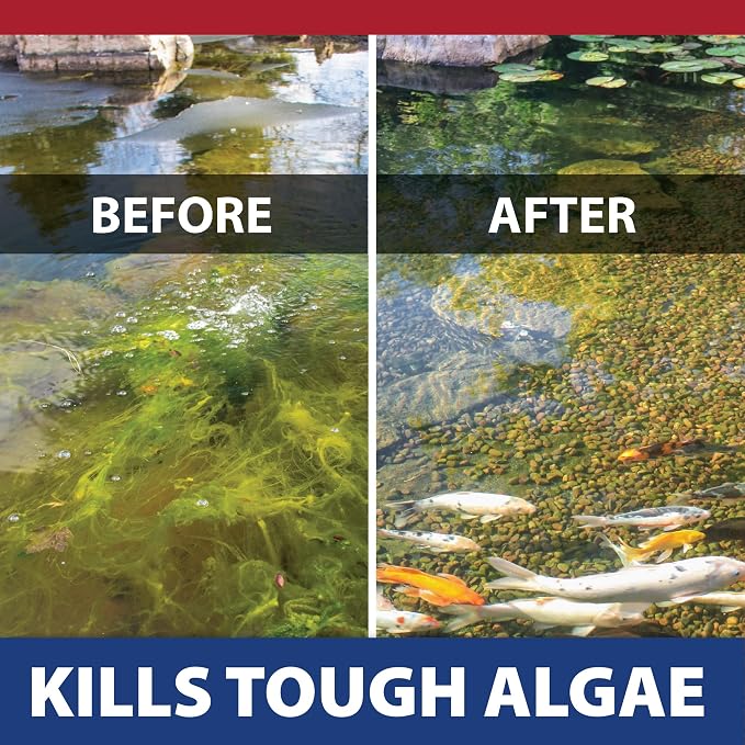 The Pond Guy InstaFix Algae Control, Outdoor Water Garden, Fountain & Birdbath Algae Solution, EPA Registered Liquid Algaecide, Control Green Water & String Algae, Bird, Fish & Pet Safe, 1 Gallon