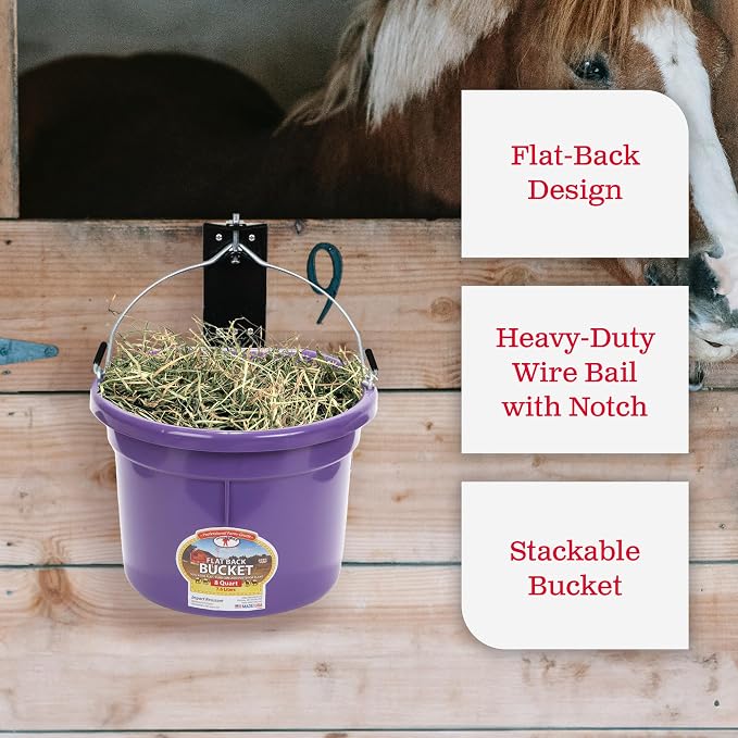 Little Giant P8FBPURPLE 2 Gallon All Purpose Heavy Duty Farm Flat Back Plastic Buckets for Supplies, Toys, Laundry, and Water, Purple, (2 Pack)