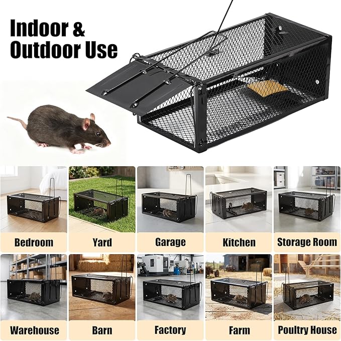 2 Pack Humane Rat Traps 12.5"x5.5"x4.5", Reusable Mouse Traps for Indoor/Outdoor Use, No-Kill Live Capture for Chipmunks, Squirrels, Rats, Mice