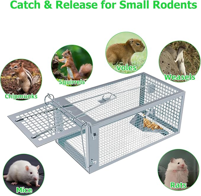 Humane Rat Traps 2-Pack, No Kill Small Animal Cage Trap, Live Mouse Trap Cage Catch and Release, Trampa para Ratones, Chipmunk Rodent Trap that Work for Indoor and Outdoor - 10.6" L x 5.5" W x 4.7" H