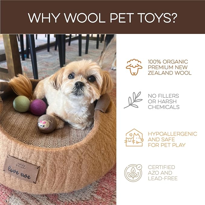 Hustle & Blush Wool Felt Balls 6 Pack, Love Ewe Pet Supplies - 2 inch Felted Wool Cat Toys Dragonfly & Duck, 100% New Zealand Wools Felt Cat Toys Handmade Wools Felts Balls - Cats Felts Ball