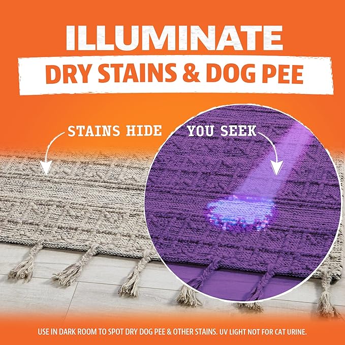 Angry Orange Pet Urine Detection & Odor Elimination Bundle – UV Black Light Flashlight + Citrus Powered Odor Eliminator Concentrate for Dog & Cat Urine, Carpets & Upholstery