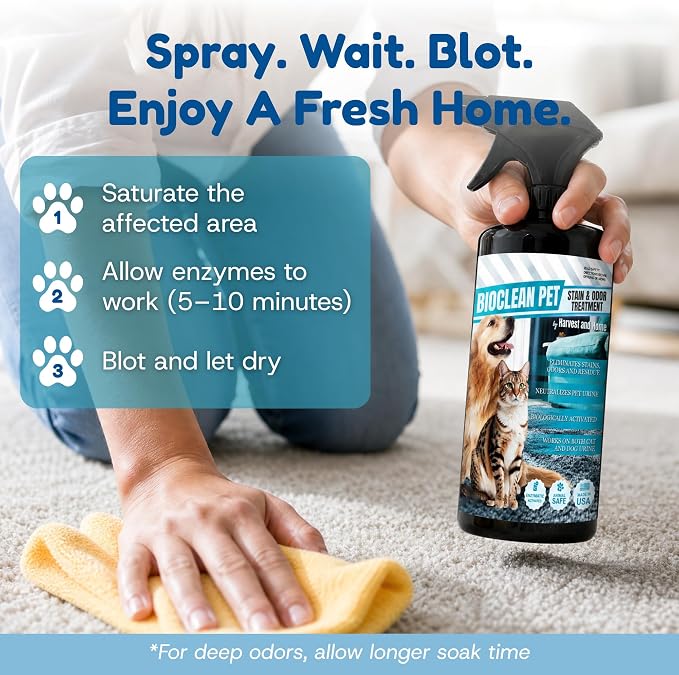 Bioclean Pet Carpet Cleaner & Deodorizer – Eliminates Pet Urine Smell, Stain & Odor Remover, No Residue, Made in USA – 32oz
