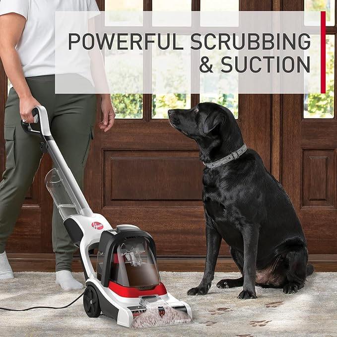 Hoover PowerDash Pet+ Compact Carpet Cleaner Machine, FH50704V + 64 oz Everyday Carpet Cleaner Solution, Deep Cleaning Carpet Shampoo, AH31924