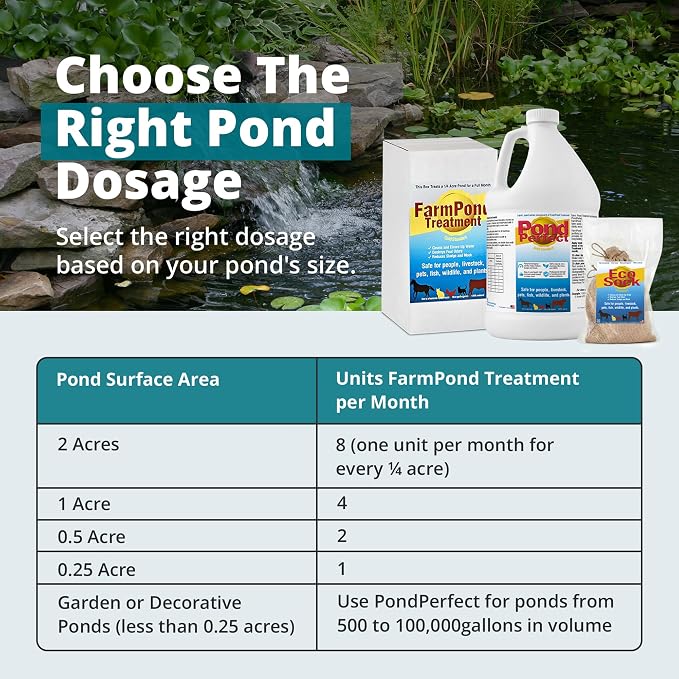 TLC Farm Pond Treatment – PondPerfect Liquid & EcoSock Dual System, Pond Bacteria for Larger Outdoor Ponds – 1 Box Treats Up to 1/4 Acre – 24 Gallon + 24 EcoSock