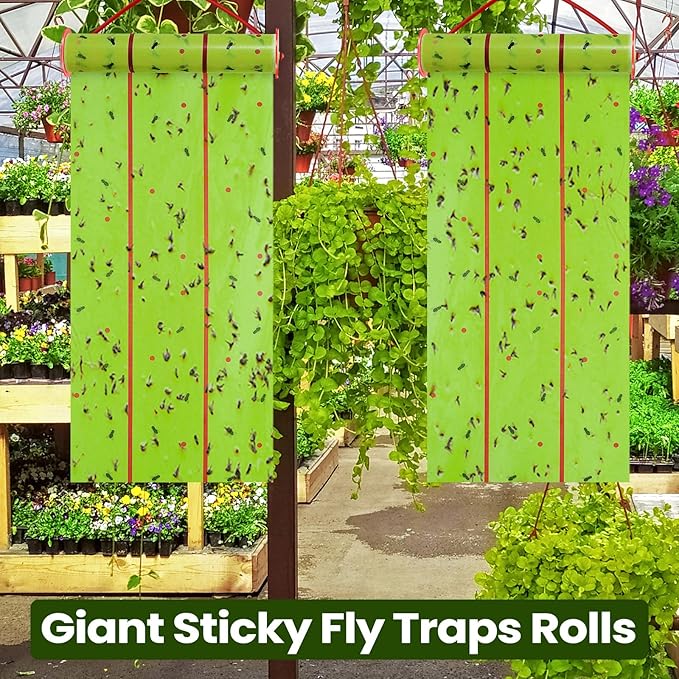 Qualirey Giant Sticky Fly Traps, Fly Strips for Indoor Outdoor Hanging Flying Tapes Non Toxic Ribbon Fruit Gnat Killer for Mosquito Plants House Horse Stable(30 ft,Fluorescent Green,5 Pcs)