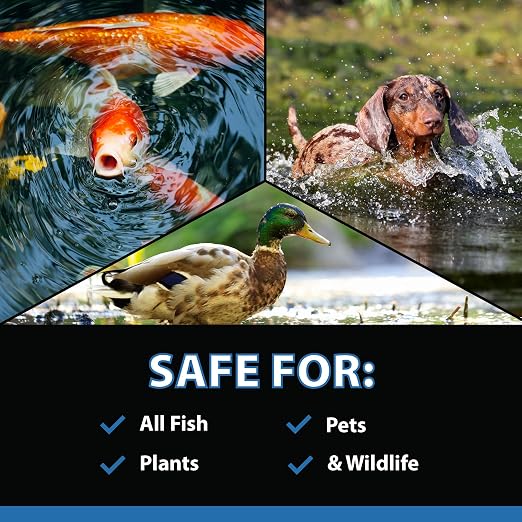 CrystalClear MuckOff Natural Pond Muck Treatment Sludge Remover, 96 Tablets | Living beneficial bacteria clarifier with enzyme for water gardens, fountains & bird baths; fish, aquatic animal & pet safe