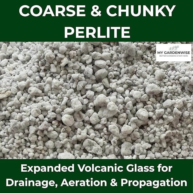 GARDENWISE Perlite for Plants, Coarse and Chunky Horticultural Perlite, Organic Perlite for Gardening Indoor & Outdoor, Perlite Bulk Bag, Made in USA (5 quarts)