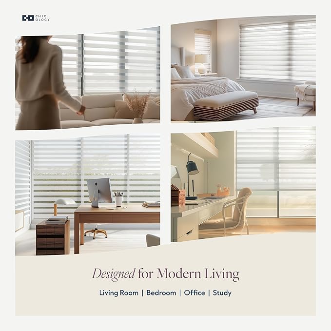 CHICOLOGY Zebra Blinds Cordless Window Shades, Dual Layer Light Filtering Roller Shades for Windows, Sheer Privacy Striped Fabric, Easy Install, 45" W x 72" H, Basic Arctic