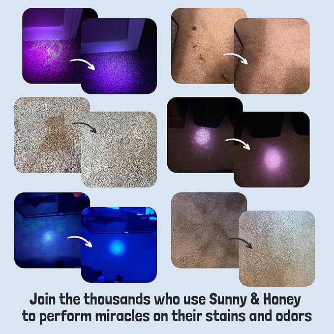 Sunny & Honey Pet Stain and Odor Remover - Enzyme Cleaner for Dog Urine and Poop on Carpets and Furniture - Strong Pet Carpet Cleaner Spray (32fl oz Lavender)