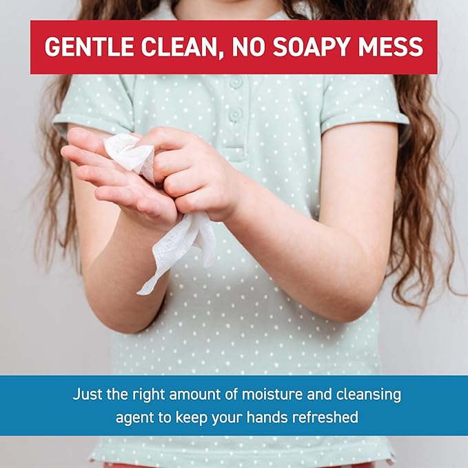 WipeEssentials Hand Sanitizer Wipes for Adults & Kids - 90 Count, 3 Packs | Alcohol-Free, Moisturizing Sanitizing Wipes with Aloe Vera & Vitamin E - Unscented & Travel Size With No Soapy Residue