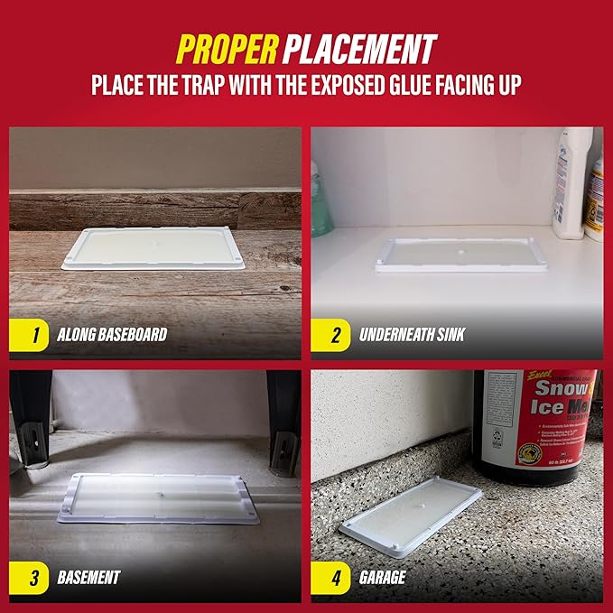 Catchmaster Freeze Resistant Glue Traps 6PK Mouse Traps Indoor for Home, Pest Control Tray for Rodents, Bugs & Crickets, Cold Weather Glue Board for House, Shed & Garage