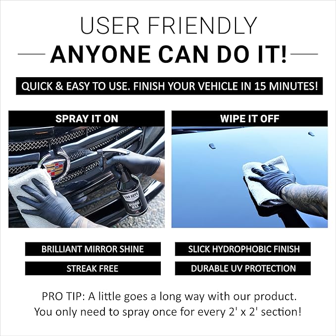 CAR GUYS Car Detailing Kit | Tire Shine 18 Oz & Hybrid Wax 18 Oz