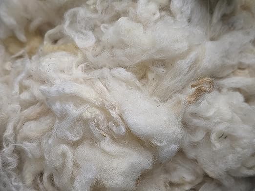 1 Lb raw Wool Sheep Washed w/Debris,Natural Wool for Stuffing Animals, Crafts, Cushions, Pillow Filler, Needle Felting Spinning.School Projects