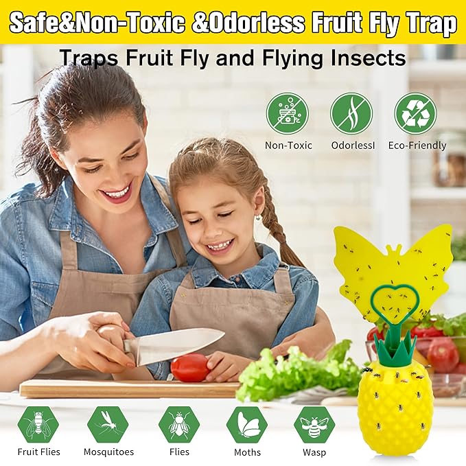 Fruit Fly Trap for Indoors, Effective Fruit Fly Gnat Catcher with Sticker, Gnat Traps for House Indoor with Bait, Reusable Easy-to-Use Fly Trap for Kitchen Home - 4 Pack