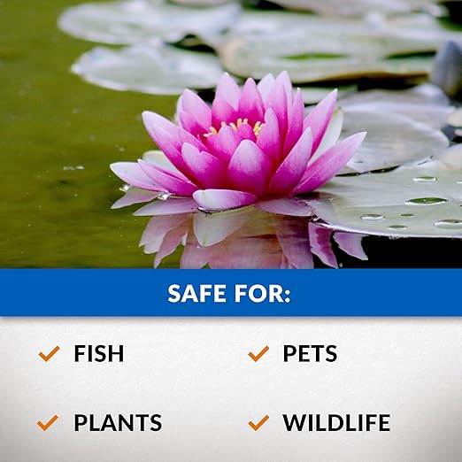 CrystalClear Algae D-Solv EPA Registered Pond Algaecide, 16 oz | Fast-Acting algae control for fountains & outdoor ponds containing koi & other fish, 16 oz treats 5,760 gallons.