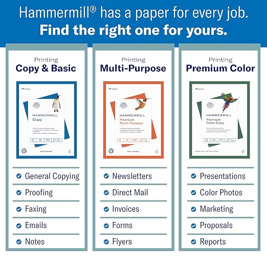 Basic Medical Synmax Vinyl Exam Gloves, Case of 1,000 - Hammermill Printer Paper, 10 Ream Case, 5,000 Sheets