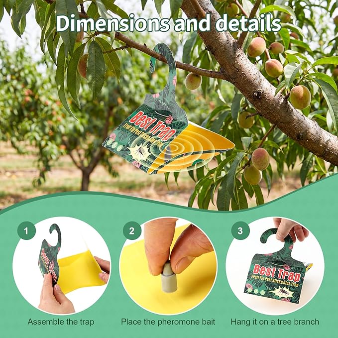 6 Pack Codling Moth Traps for Apple Trees with Pheromone Lures – Triangular Hanging Sticky for Apple Trees, Includes 6Traps & 6 Lures, for Orchard & Garden Use