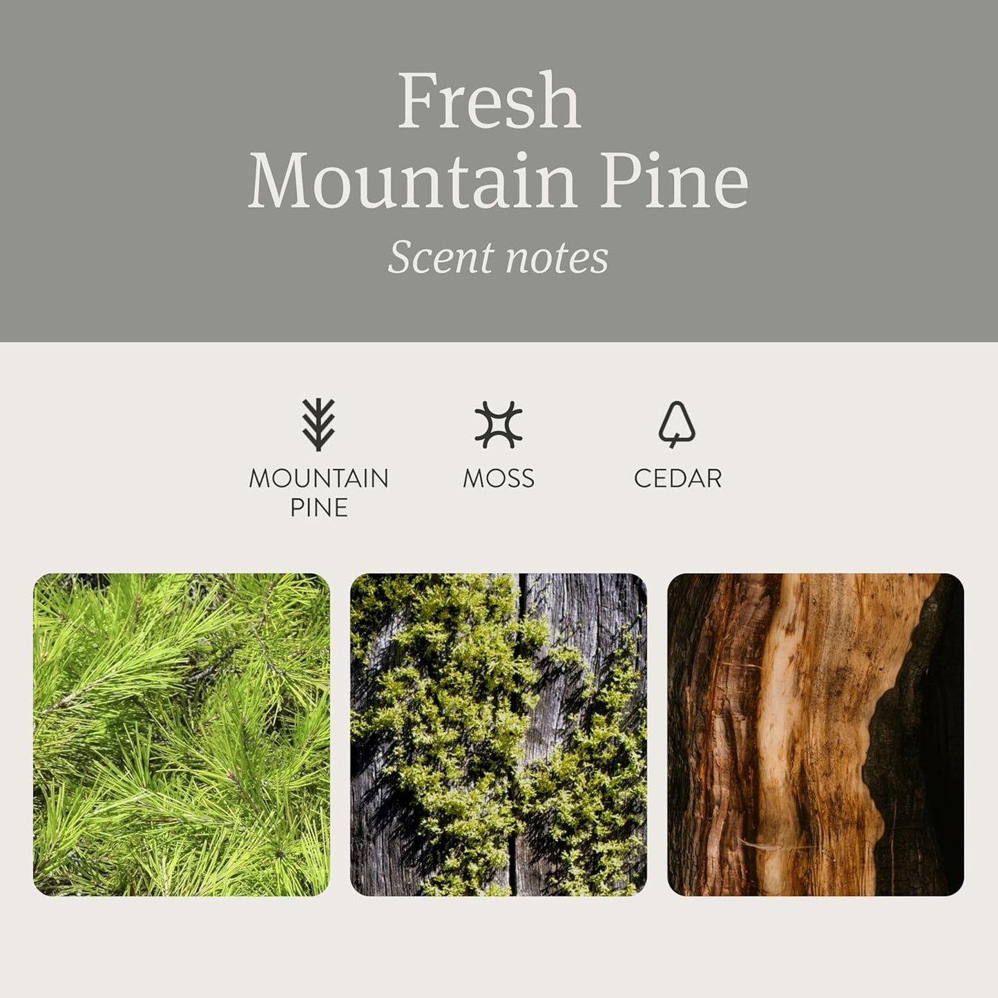 Drift Car Air Freshener - The Original Wood Air Freshener - Car Odor Eliminator - Long Lasting Scent - Metal Clip - Essential Oils - Clean Ingredients - Pine Scent 3 Pack Refill - NO CLIP INCLUDED