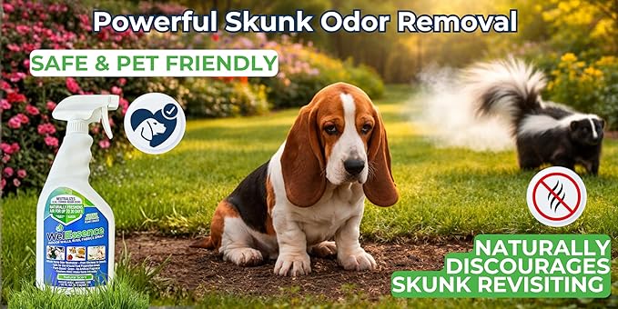 natural whole home deodorizing spray