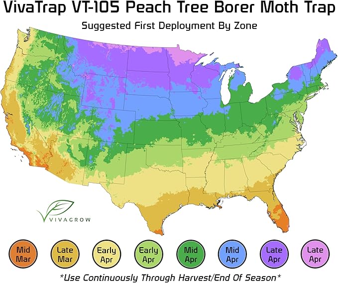 VivaTrap VT-105 Peach Tree Borer + Clearwing Moth Trap & Lure (2 Pack, 8 Week)