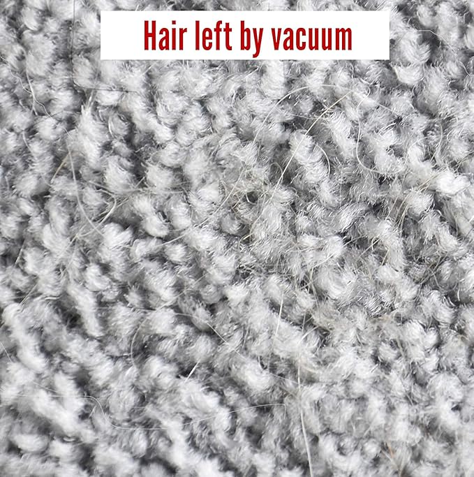 Lilly Brush Mighty Pet Hair Detailer Head (NO HANDLE) Dog & Cat Fur Clean-Up for Carpets and Rugs. Fits on ALL standard broom sticks.