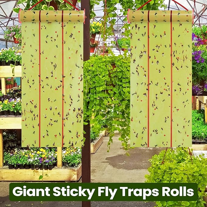 Qualirey Giant Sticky Fly Traps, Fly Strips for Indoor Outdoor Hanging Flying Tapes Non Toxic Ribbon Fruit Gnat Killer for Mosquito Plants House Horse Stable(30 ft,Fluorescent Green,15 Pcs)
