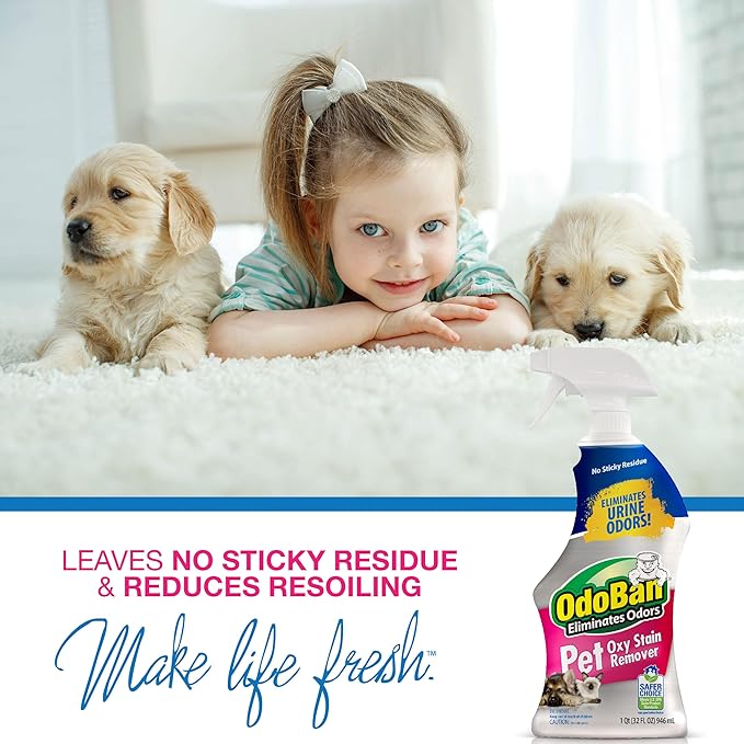 OdoBan Pet Solutions Oxy Stain Remover, Pet Stain Eliminator, Made in the USA, 12-Pack, 32 Ounce Spray Each