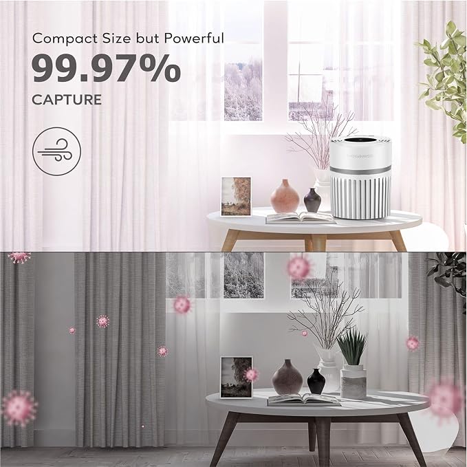 MEGAWISE Office Air Purifier (Desktop Purifier)