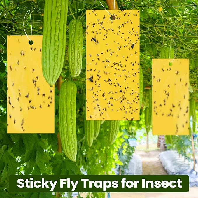 Qualirey 100 Pcs 7.87 x 3.9 Inch Yellow Sticky Traps for Gnats Double Sided Sticky Trap for Plant Whiteflies, Aphids, and Black Flies with Twist Ties,Indoor and Outdoor
