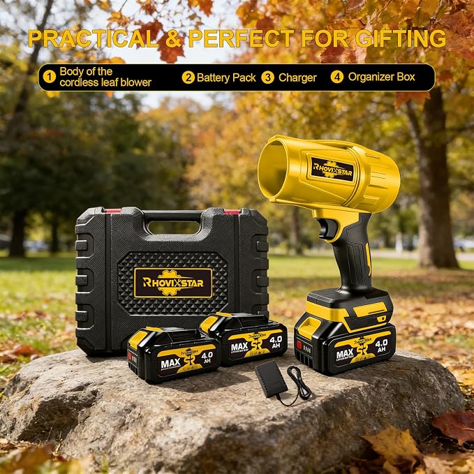 Leaf Blower 1000G, 20V Electric Leaf Blower with Powerful Airflow, for Patio Cleaning, Garage Duster & Car Dryer, with 2X 4Ah Batteries