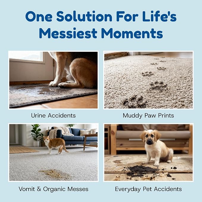 Bioclean Pet Carpet Cleaner & Deodorizer – Eliminates Pet Urine Smell, Stain & Odor Remover, No Residue, Made in USA – 1 Gallon