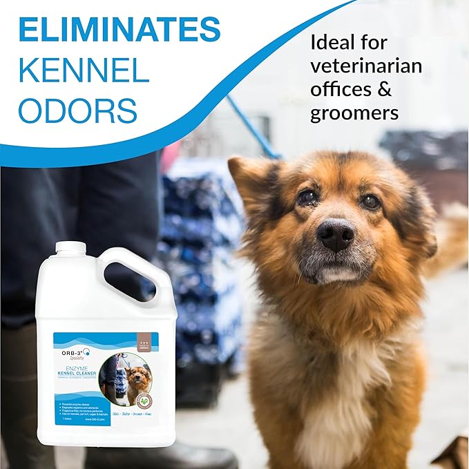 Orb-3 Enzyme Kennel Cleaner, Professional Pet Odor & Stain Remover – Enzymatic Formula for Kennels, Crates, Floors, Carpets & Hard Surfaces, 1-Gallon Jug