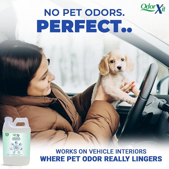 Concentrated Pet Urine Odor Eliminator, Ideal for Cat, Dog Poo and Urine Smell, Versatile & Natural Odor Neutralizer for Home and Outdoor Use, Deodorizer & Absorber, Concentrate, 64oz