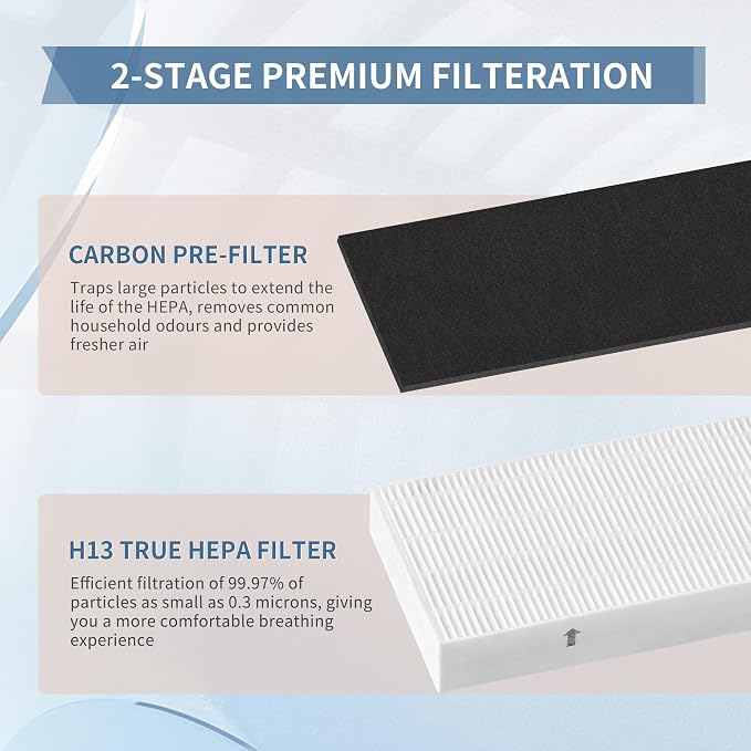 Zouwhaso 2+6 Aera Max 100 HEPA Filter Replacement Compatible with Fellowes AeraMax 90 100 DX5 DB5 Air Puri-fier True HEPA Air Filter, Part# 9287001 9324001, 2x H13 True HEPA and 6x car-bon Pre-Filter