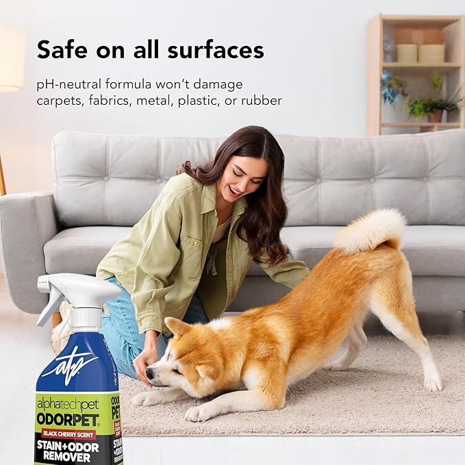 OdorPet Pet Stain Remover and Odor Eliminator - 16 Oz Ready To Use Spray, Non Staining, Professional Strength, Black Cherry Scent by Alpha Tech Pet