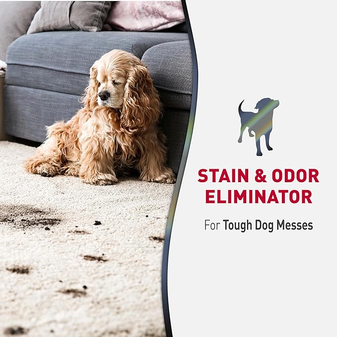 Nature’s Miracle Advanced Stain and Odor Eliminator Dog Spray, Fresh Scent, Severe Mess Enzymatic Formula For Tough Pet Messes, 32 oz