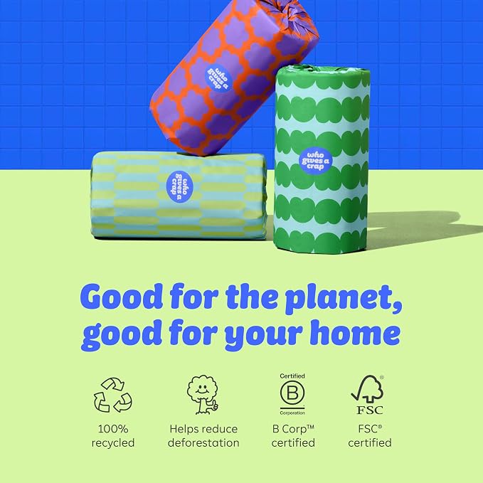 Who Gives a Crap Recycled Paper Towels, 2 Ply, 12 Rolls, 135 Adjustable Sheets per Roll, 100% Recycled Paper, Strong, Durable, Absorbent, & Sustainable, Eco Friendly With Plastic Free Packaging, White