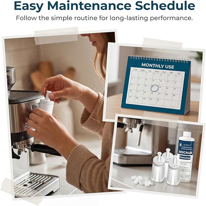 4-Pack Water Filter & 16.9 fl oz Descaler Kit, Compatible with Breville Barista Touch BES880, Barista Pro BES878, Oracle BES980 & More Espresso Machines, 4-Use Descaling Solution (4)