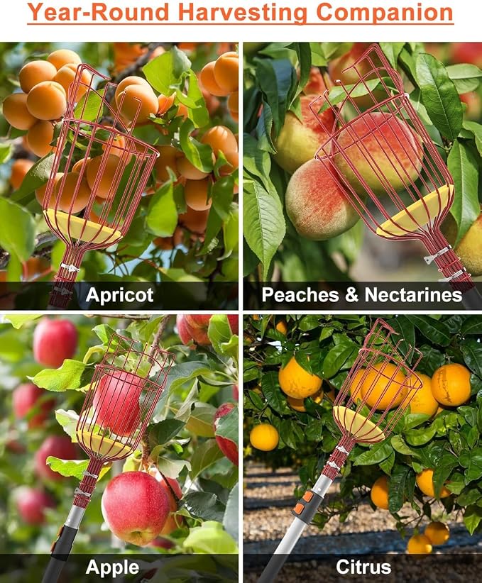 AgiiMan 18 Reach Fruit Picker with Telescopic Extension Pole, 3 to 12 FT Fruit Picker Pole Lightweight and Sturdy Aluminum Telescopic Pole, Easy to Assemble Fruit Picking Basket