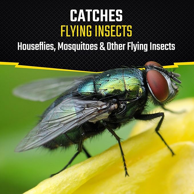 Black Flag Fly Paper, Insect Trap, Catches All Flying Insects 4 Traps