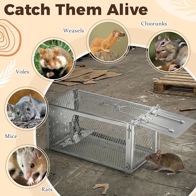 2 Pack Humane Rat Trap Cage, Live Chipmunk Rodent Cage Indoor Outdoor, Reusable Metal Mouse Trap for Rats, Mice, Squirrels