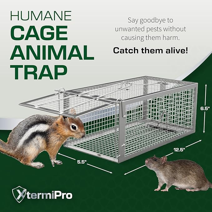 Humane Squirell Trap -2 Pack, Chipmunk and Rat Cages that Work for Home | Catch and Release | Reusable and Durable | No Kill Animal Trap | for Inside Home and Outdoor Use
