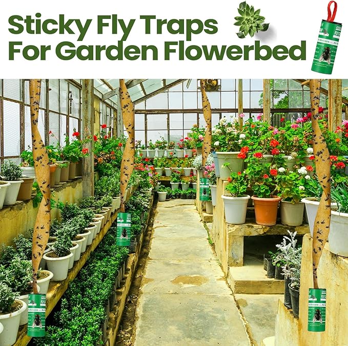 Qualirey 160 Pack Fly Strips Sticky Fly Trap Indoor Outdoor Hanging Ribbon Tape Paper Flying Insect Trap Gnat Killer Traps Catcher for Fruit Flies, Bug, Insect, Pest (Green)